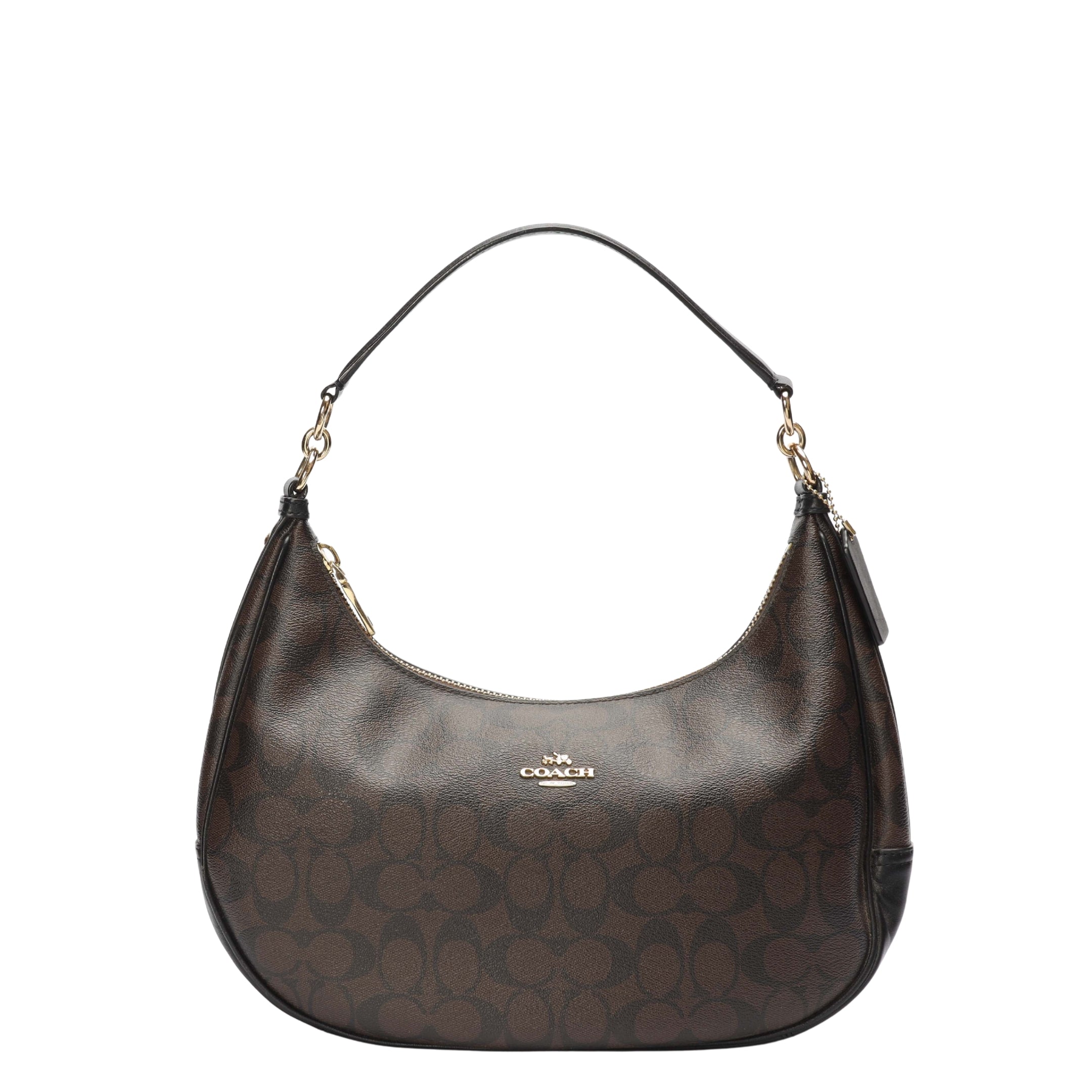 Coach Teri Brown Hobo Bag