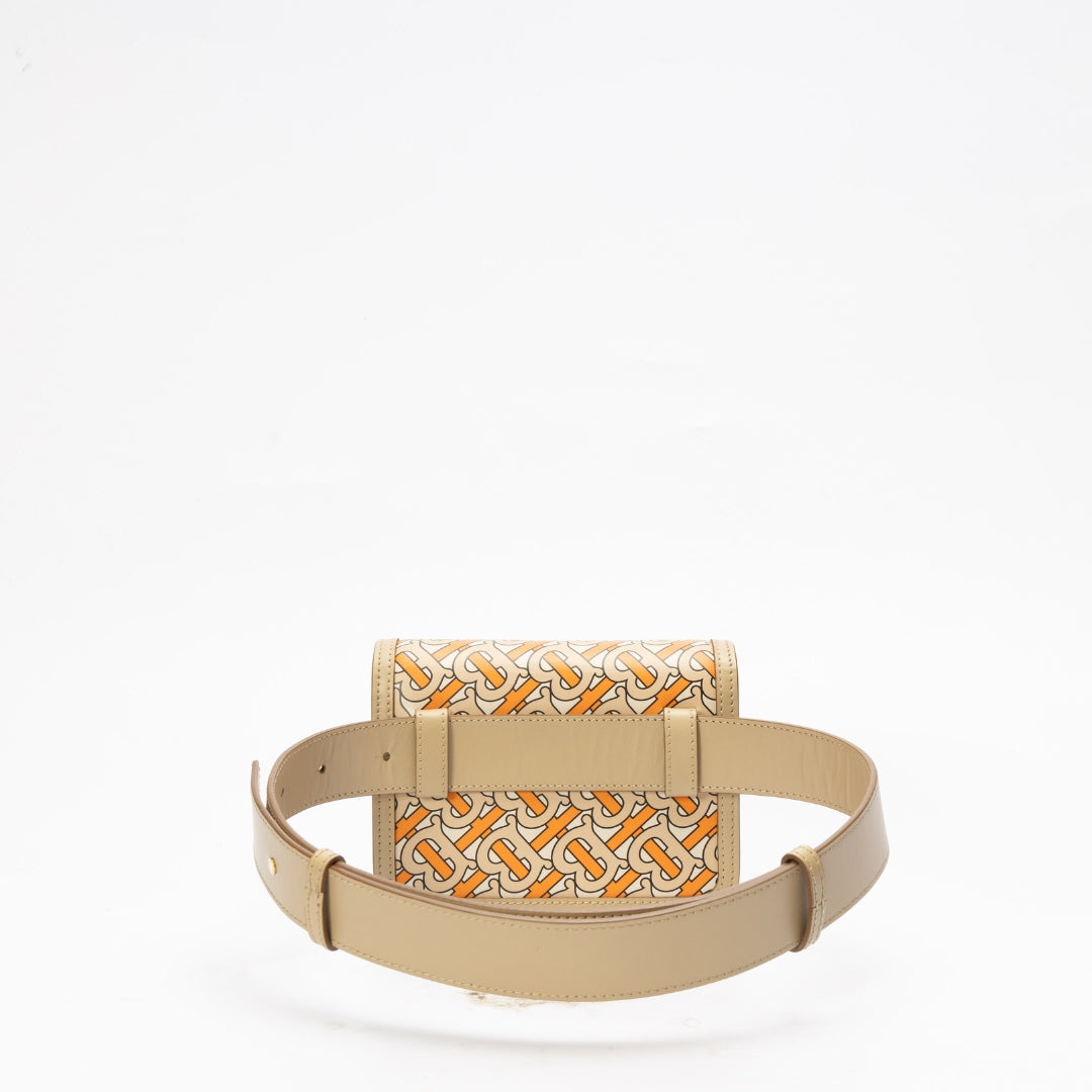 Burberry Multicolor TB Monogram Belt Bag