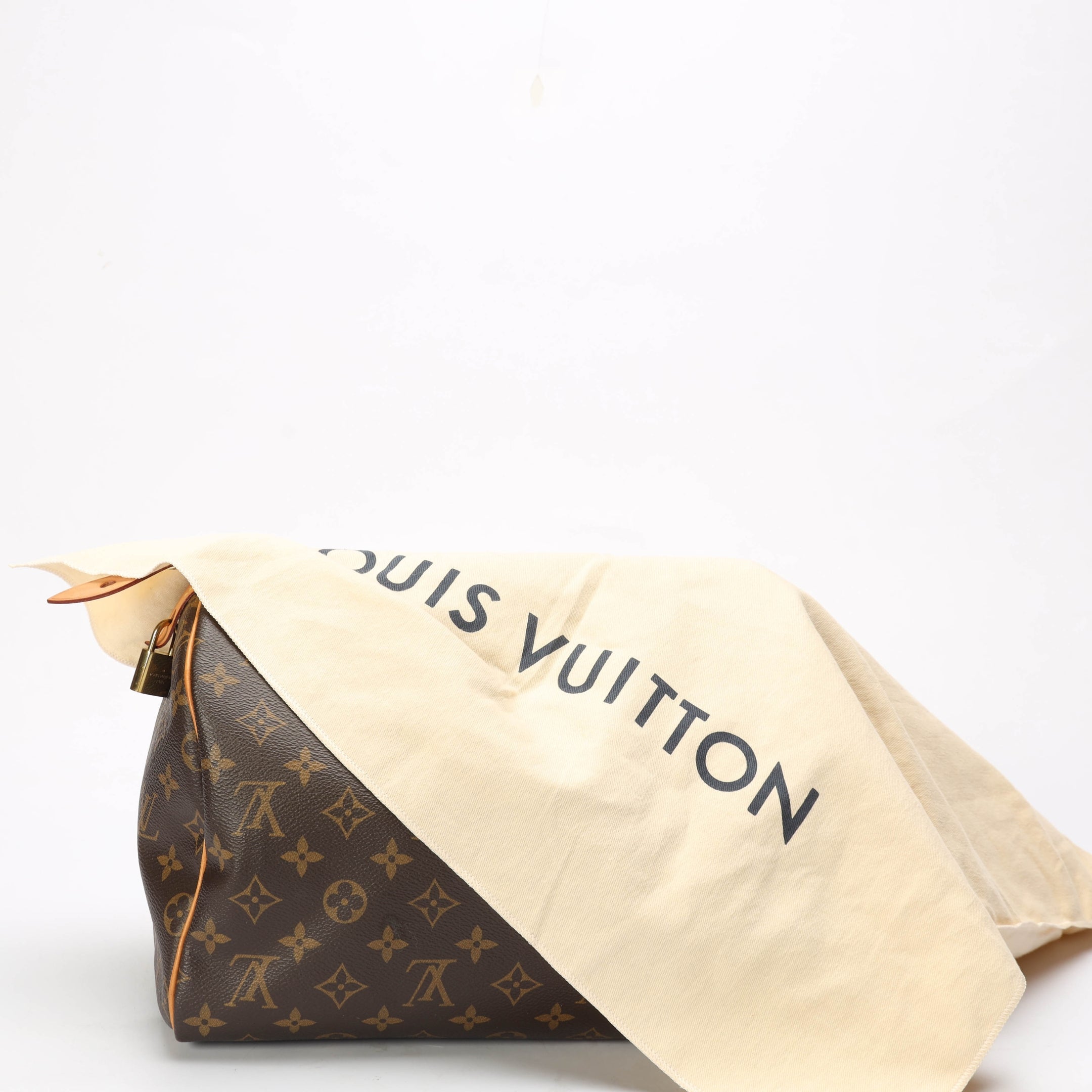 Louis Vuitton Speedy Soft 30 Satchel