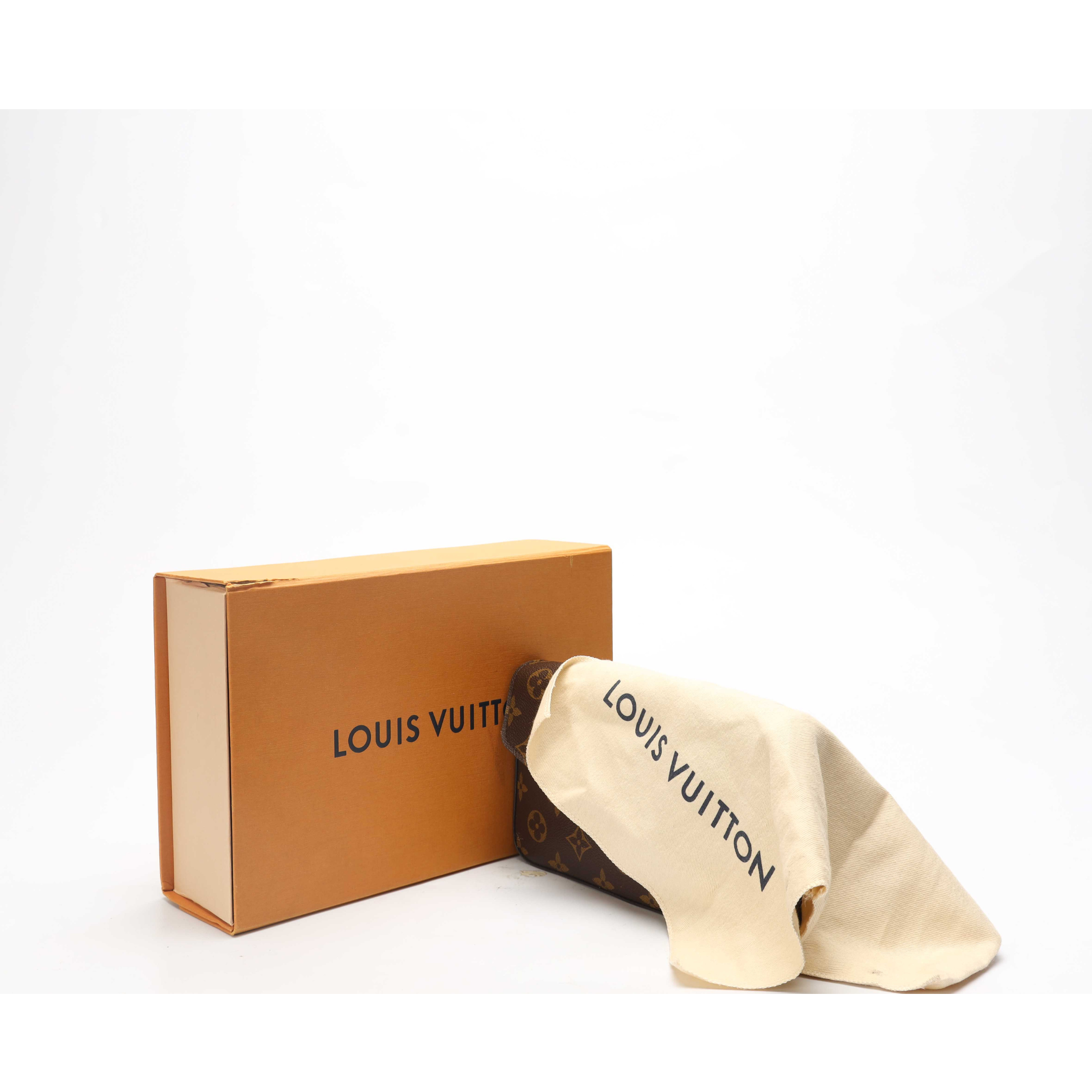 Louis Vuitton Pochette Félicie Bag