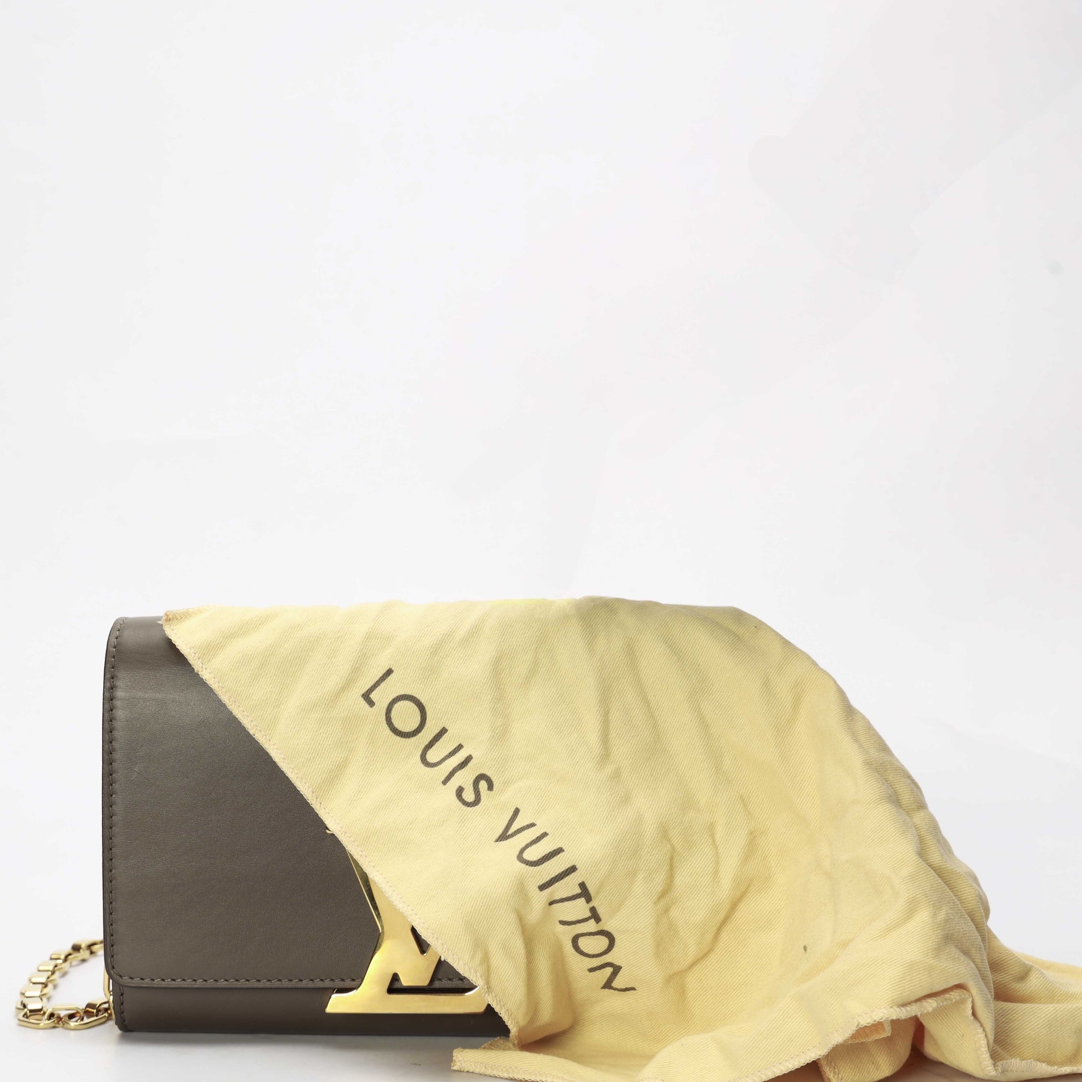 Louis Vuitton Chain Louise MM Crossbody Bag