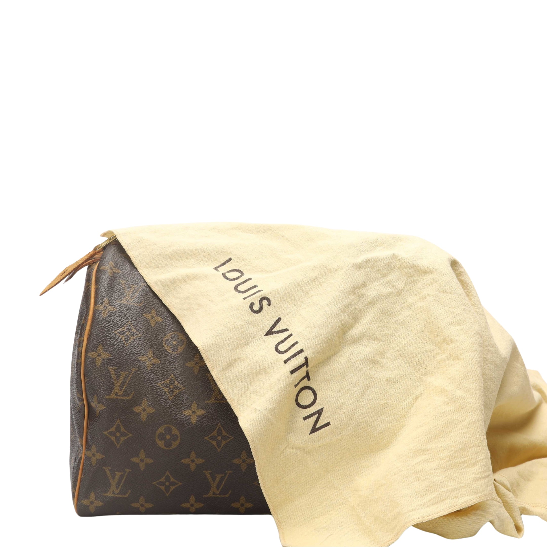 Louis Vuitton Monogram Speedy Bag