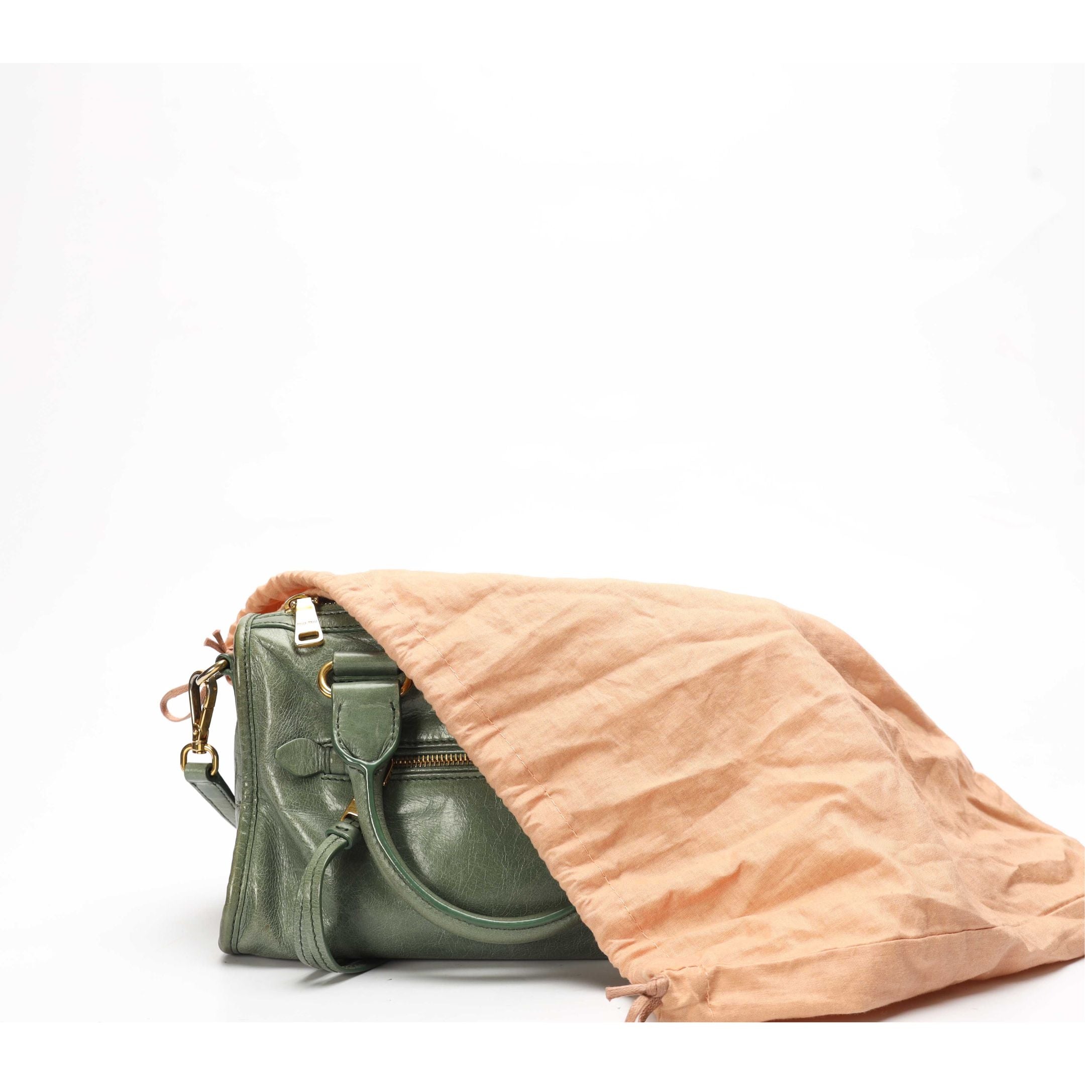Miu Miu Vitello Shine Small Bauletto Handbag