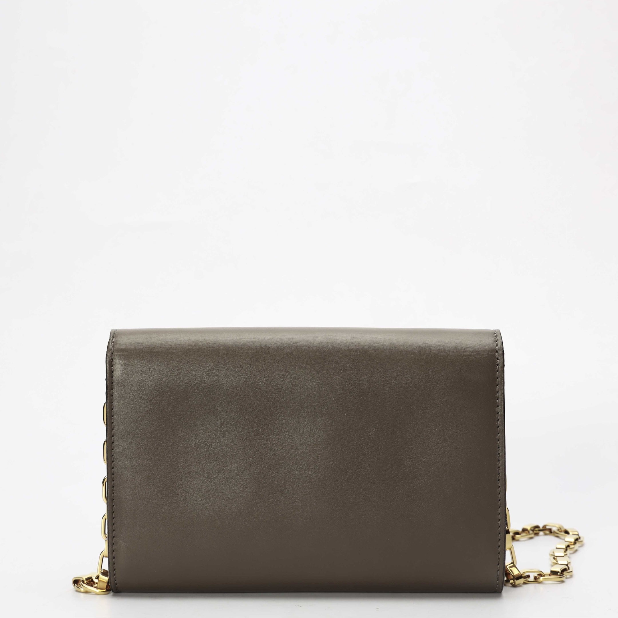 Louis Vuitton Chain Louise MM Crossbody Bag