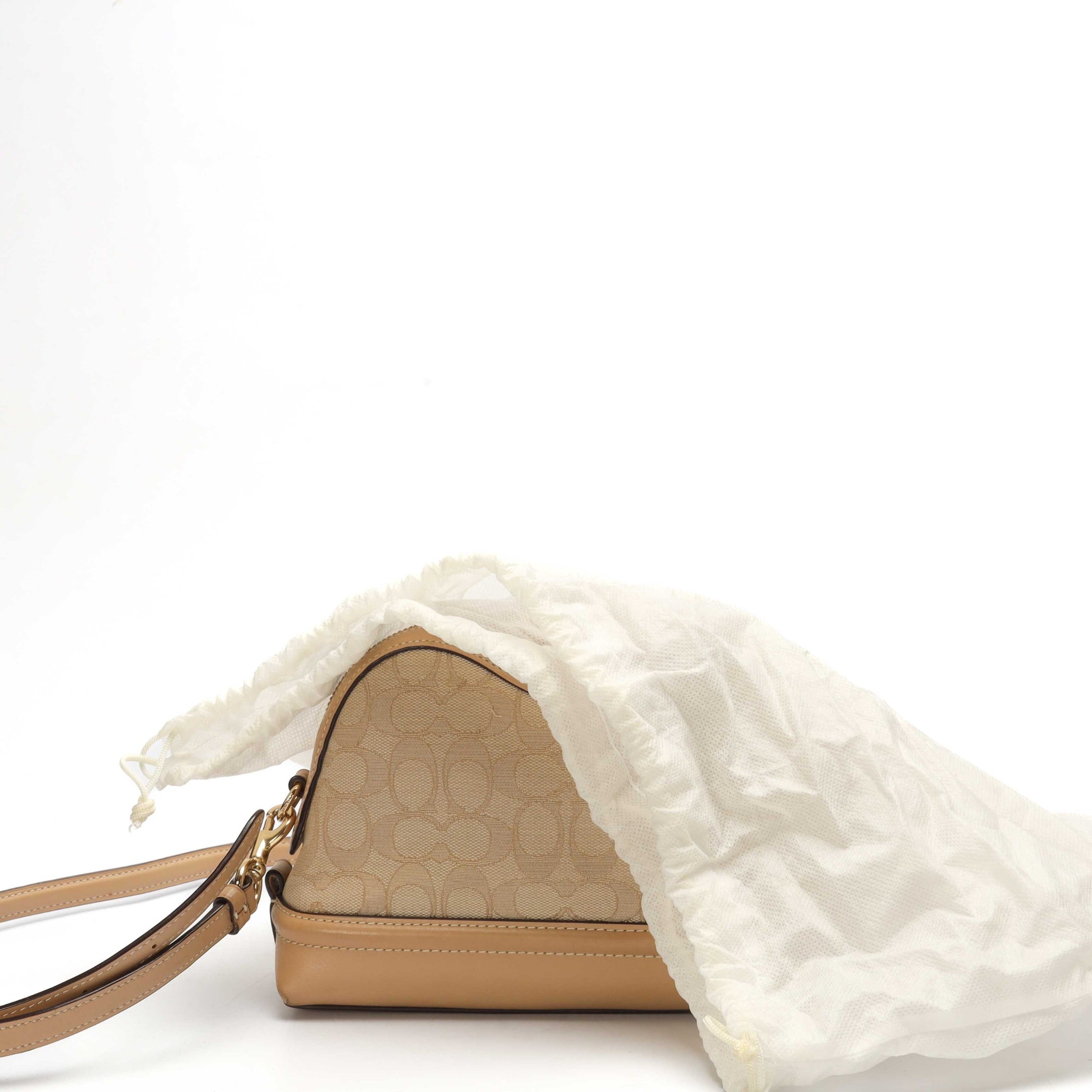 Coach Ivie Beige Dome Crossbody Bag