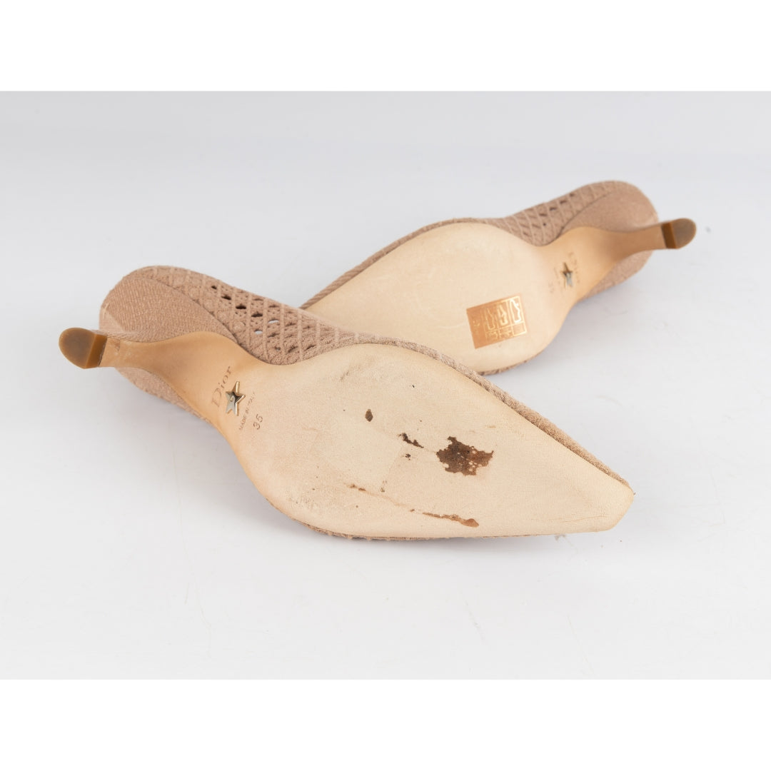 Dior Cannage Lurex Fabric Capture Pumps