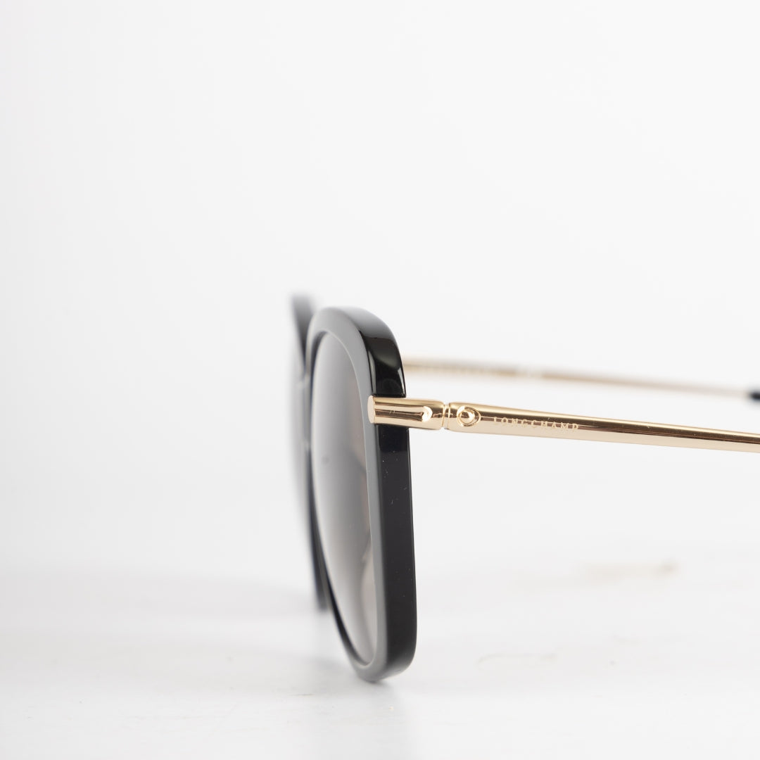 Longchamp Gradient Lens Butterfly Sunglasses