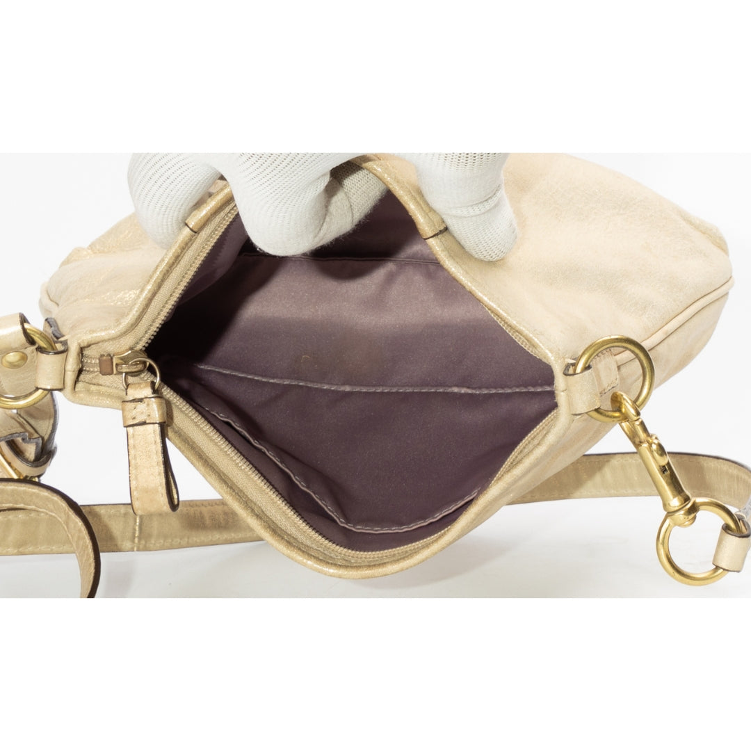 Coach Metallic Leather Crossbody Bag