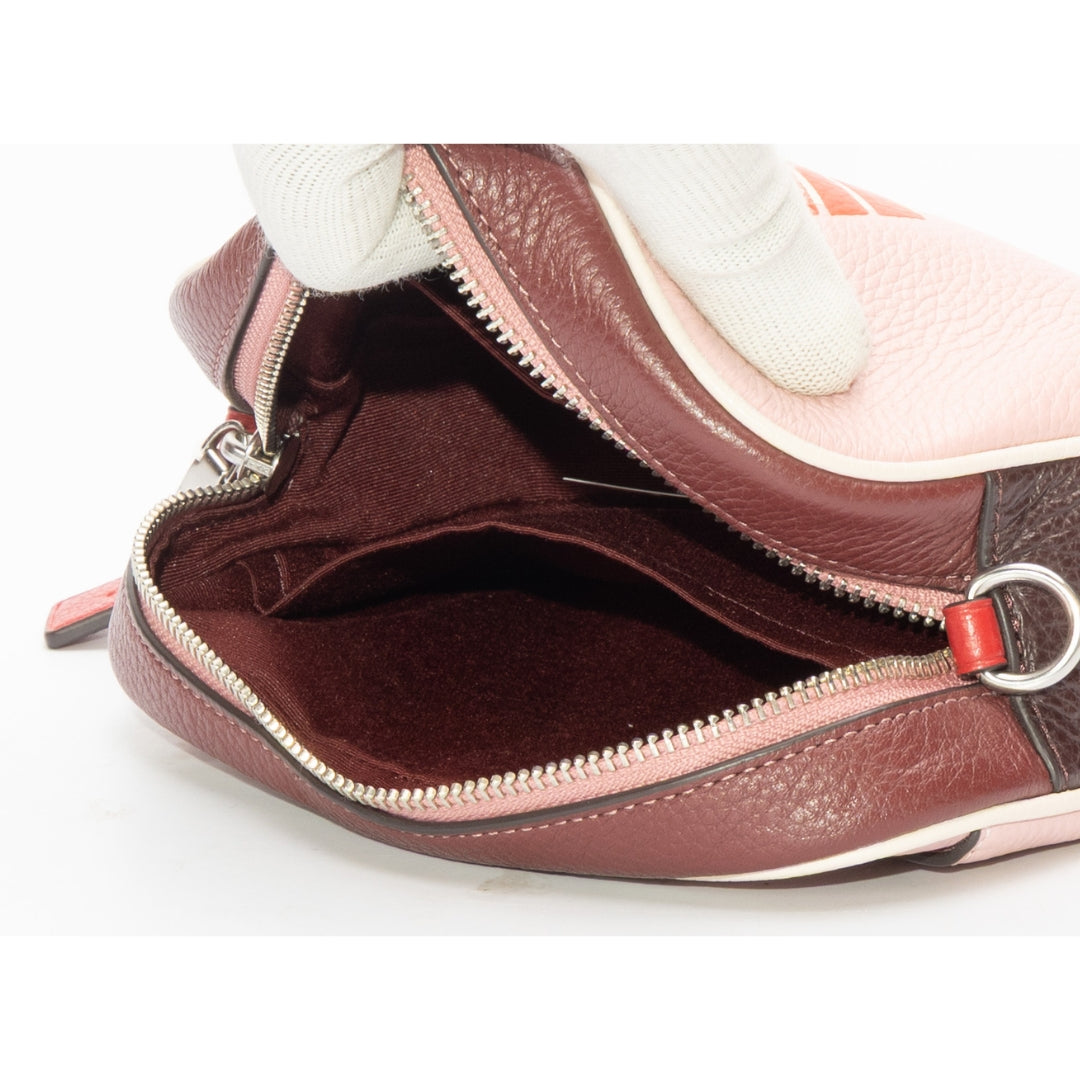 Coach Jamie Camera Bag With Ski Speed Graphic