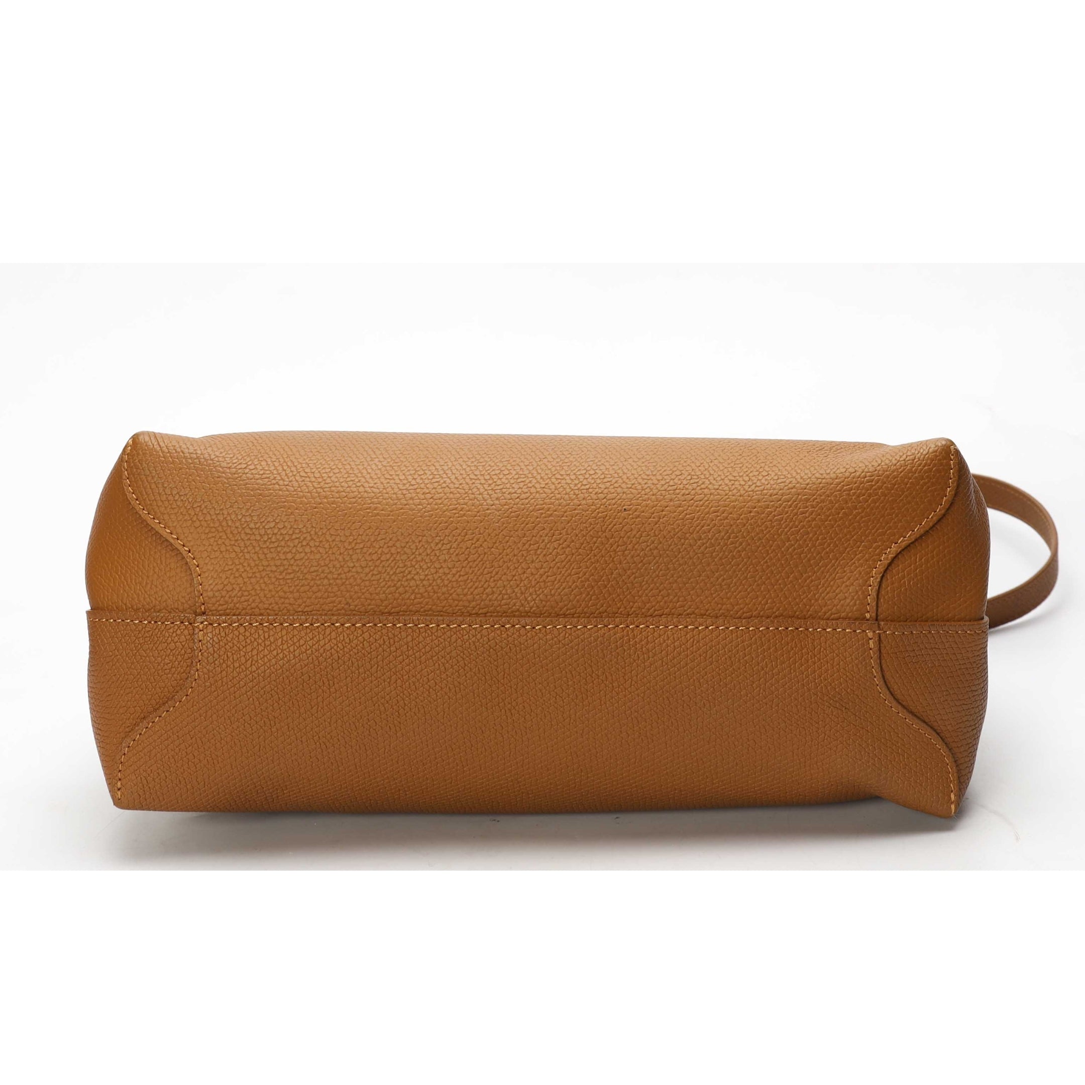 Longchamp Le Roseau Camel Large Satchel