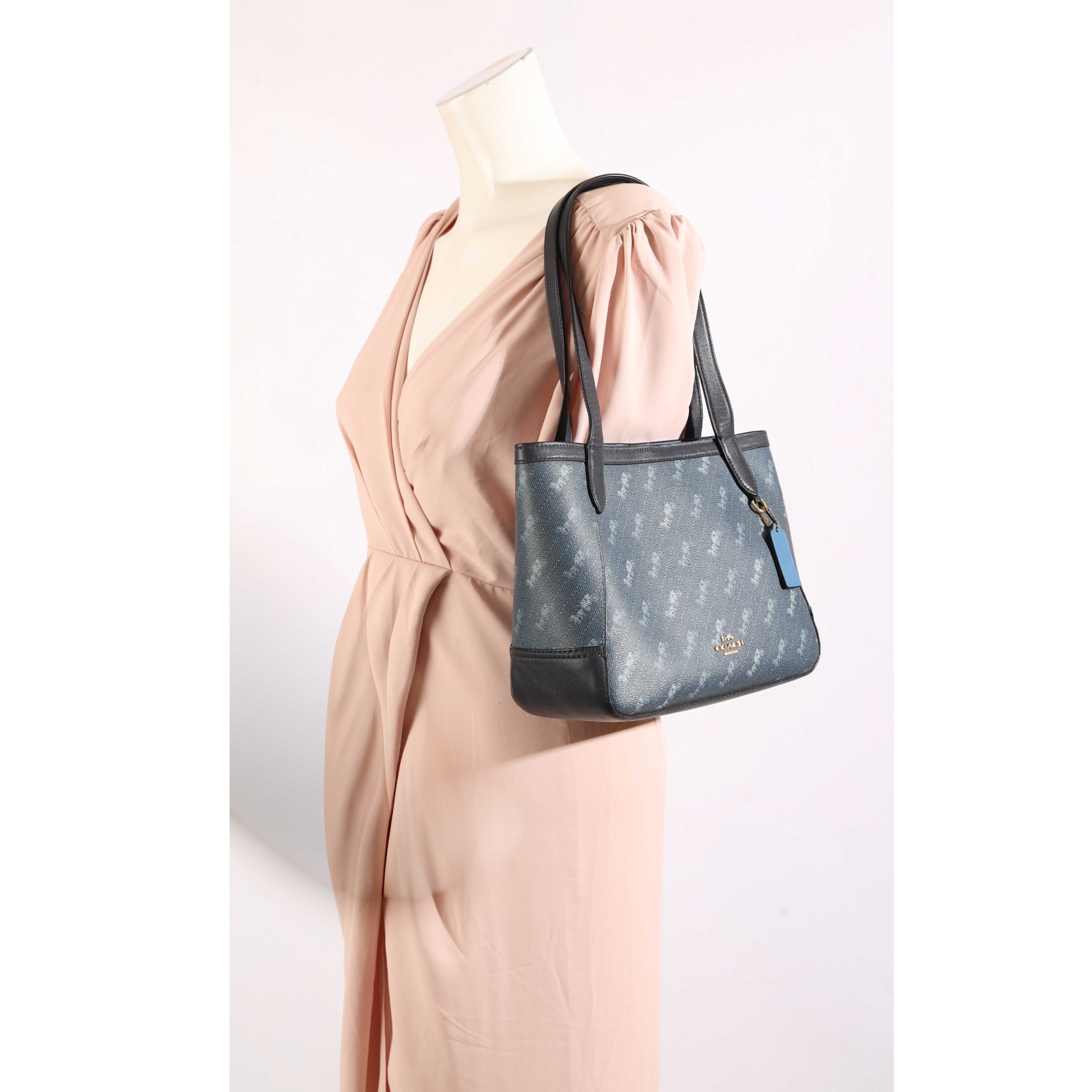 Coach Horse & Carriage Dot Print Tote
