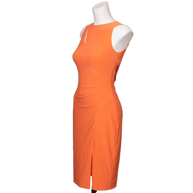 Lauren Ralph Lauren Bodycon Dress