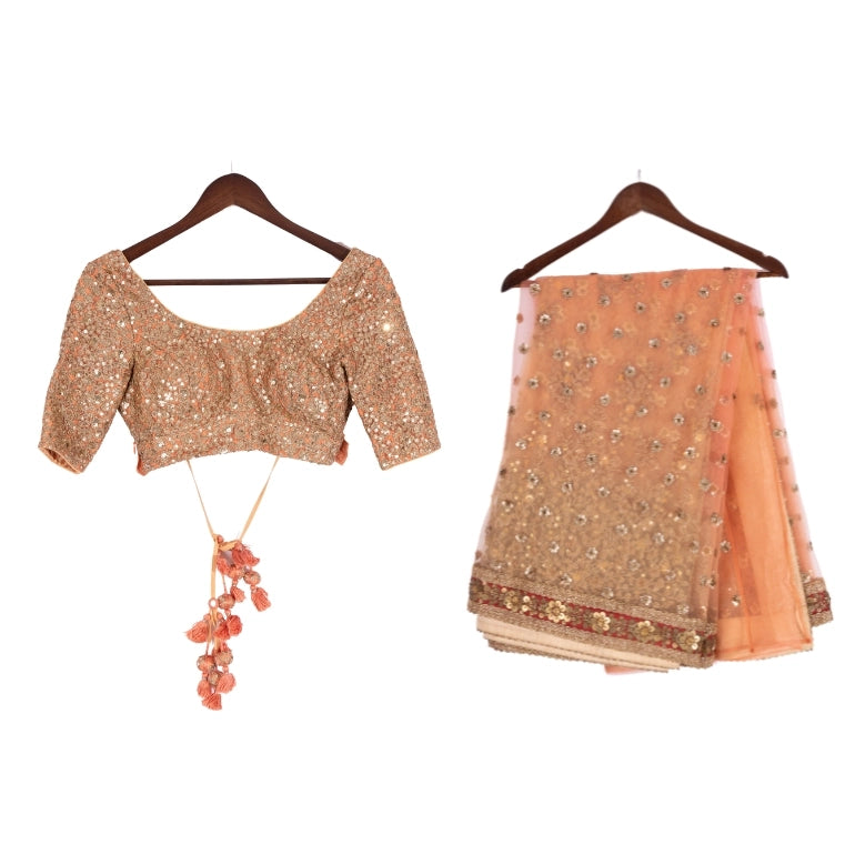 Sabyasachi Saree and Blouse