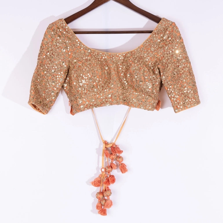 Sabyasachi Saree and Blouse
