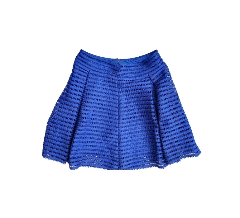 Express Flare Skirt