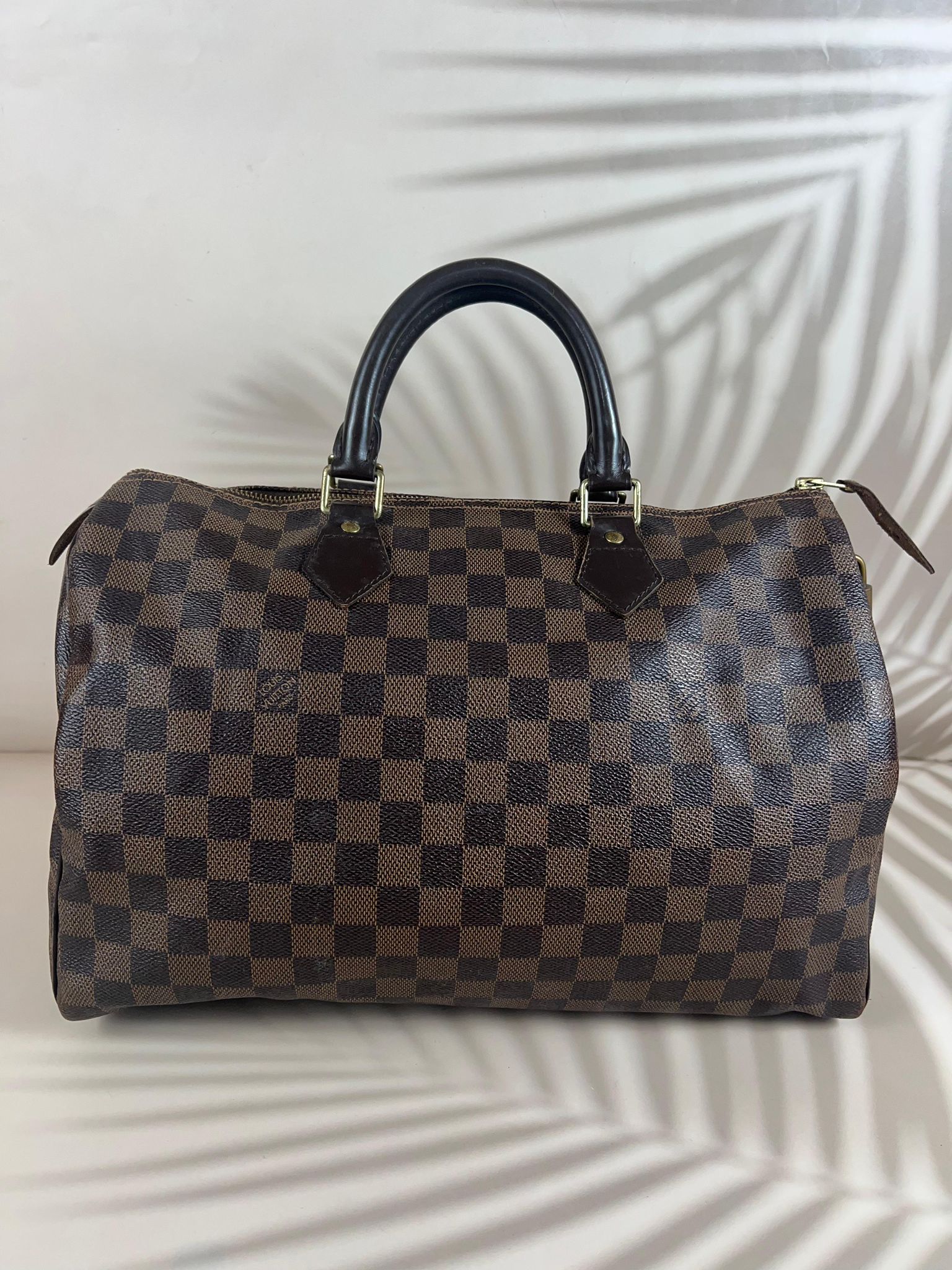 LV SPEEDY BAG