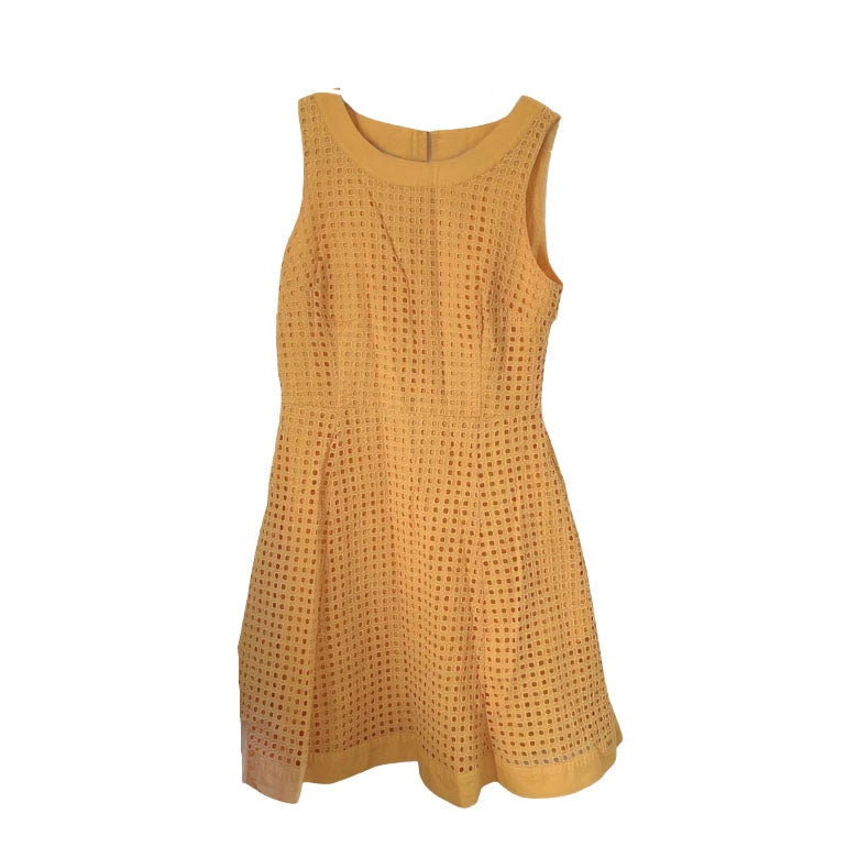 Tommy Hilfiger Flare Sleeveless Dress