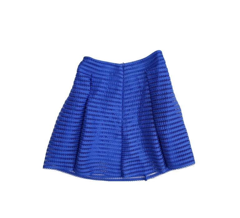 Express Flare Skirt