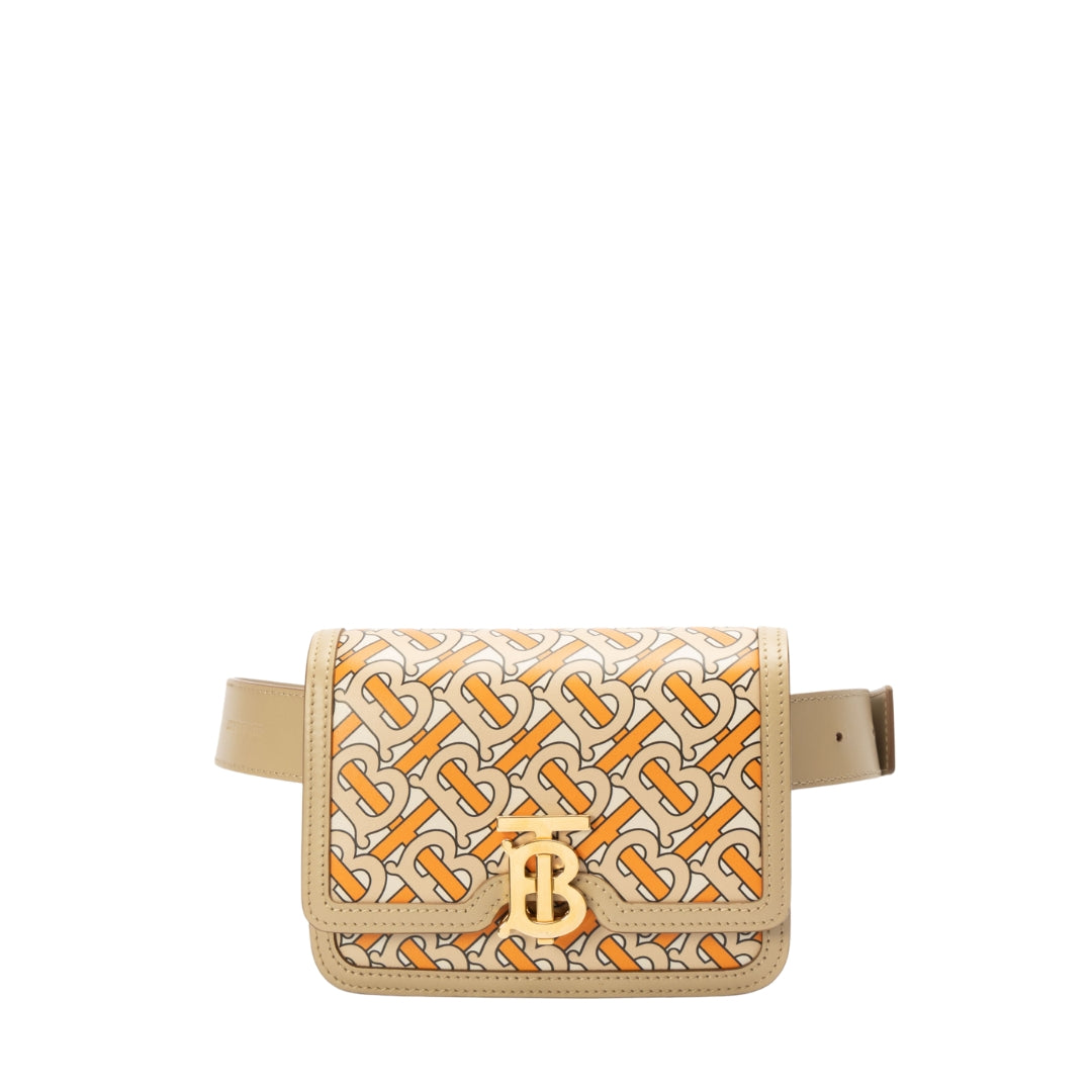 Burberry Multicolor TB Monogram Belt Bag