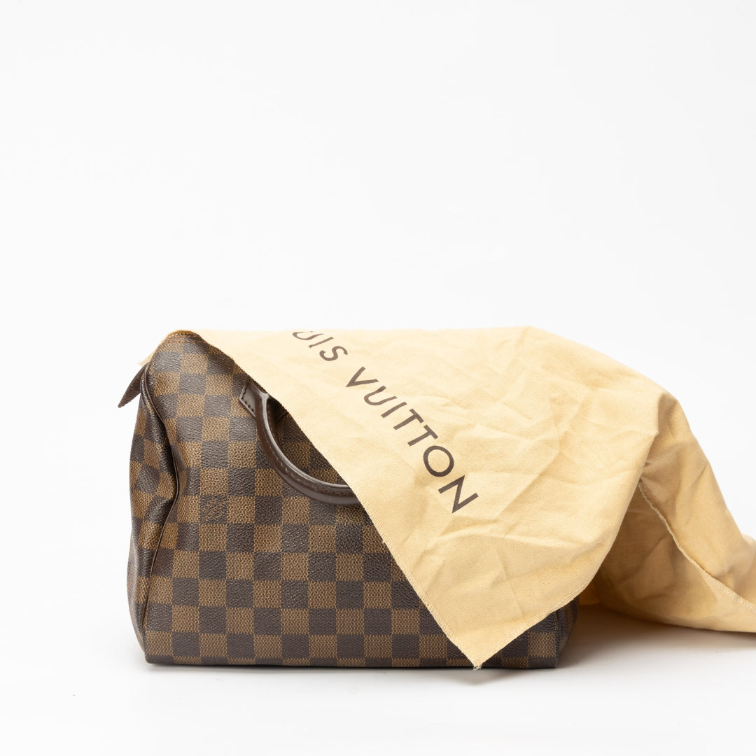 Louis Vuitton Damier Ebene Canvas Speedy 25 Bag