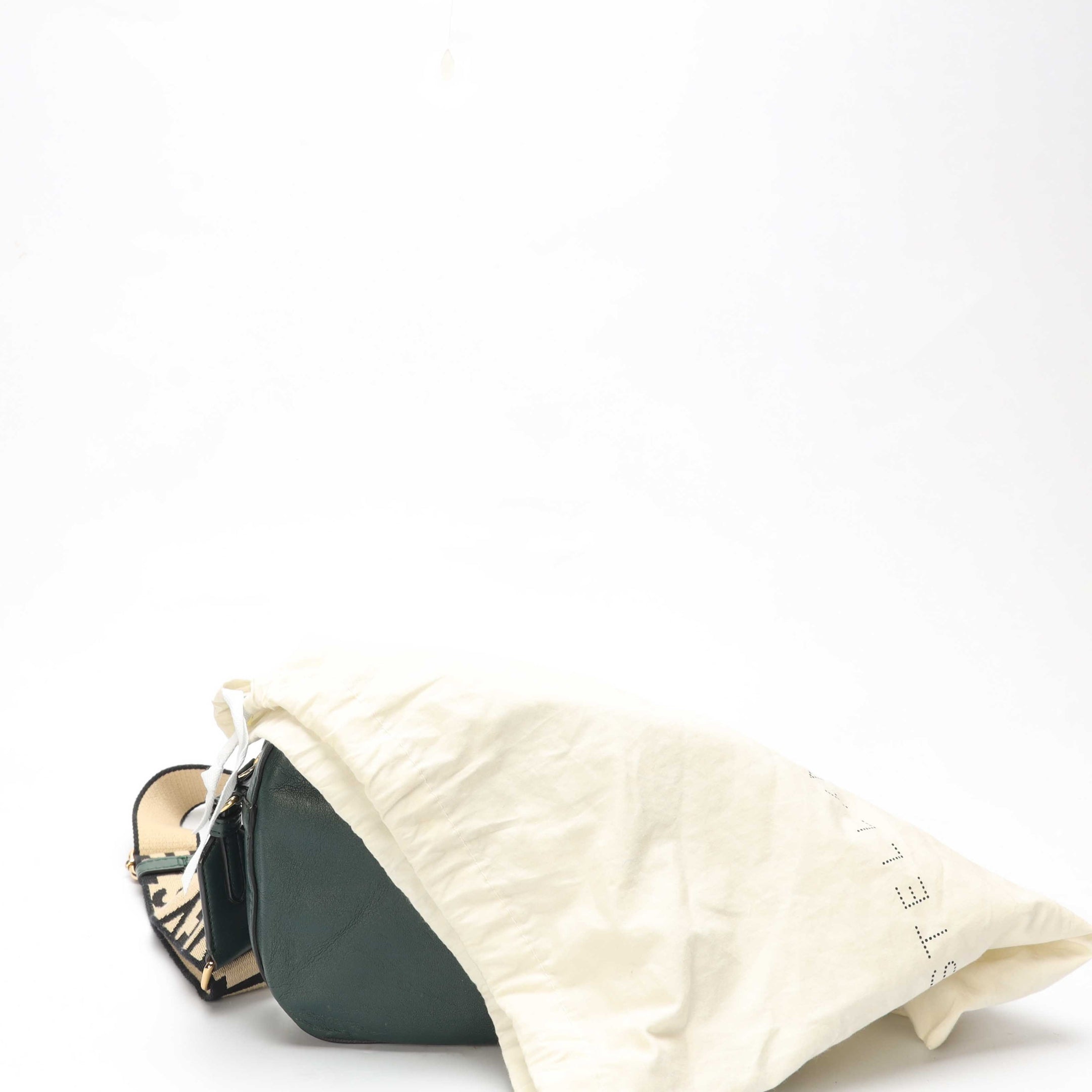 Stella Mccartney Green Grainy Small Camera Bag