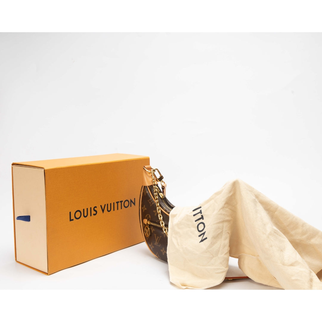 Louis Vuitton Ebene Looping Shoulder Bag