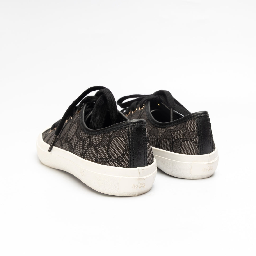 Coach Empire Khaki Women Sneakers