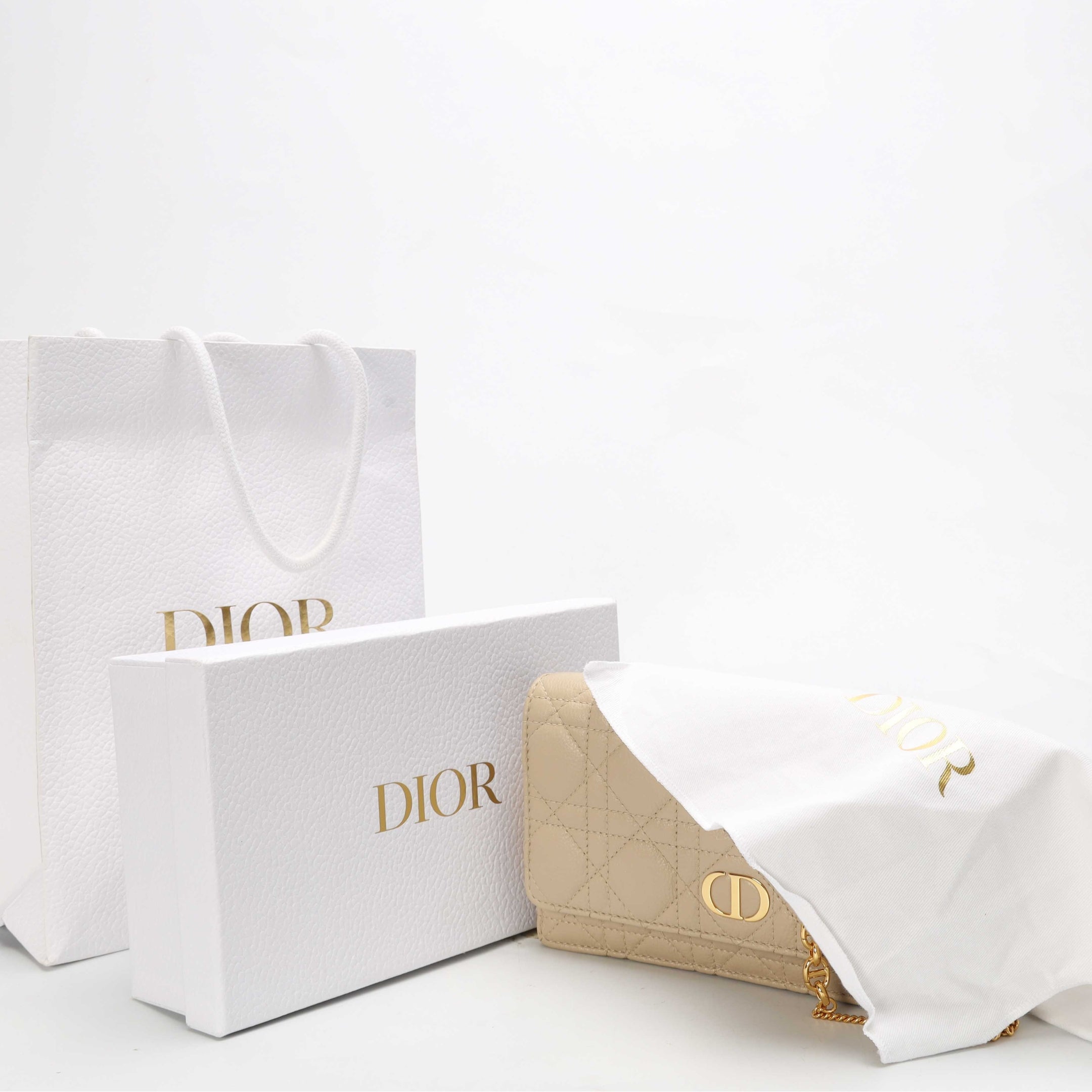 Dior Caro Beige Chain Crossbody Bag
