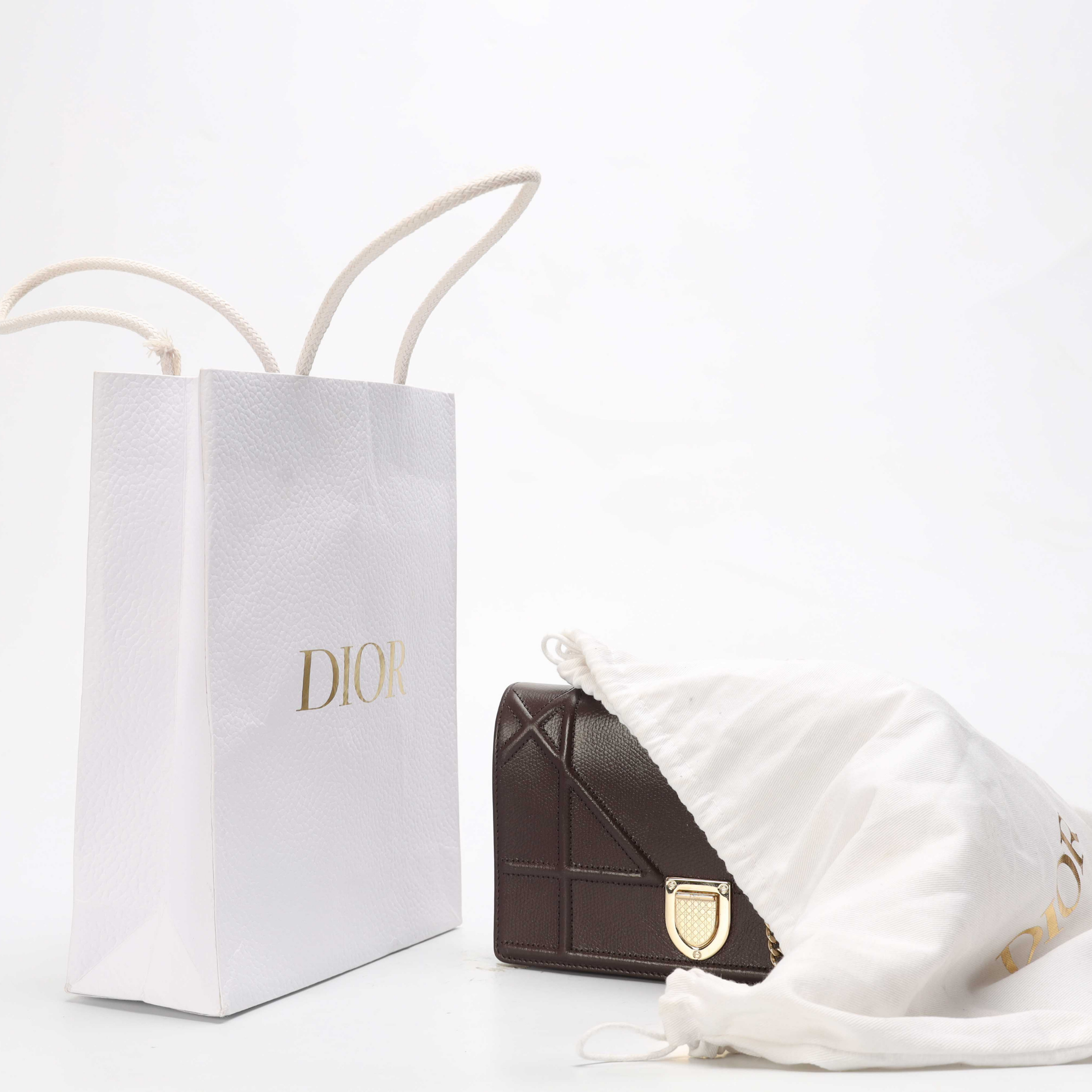 Dior Diorama Burgundy Crossbody Bag