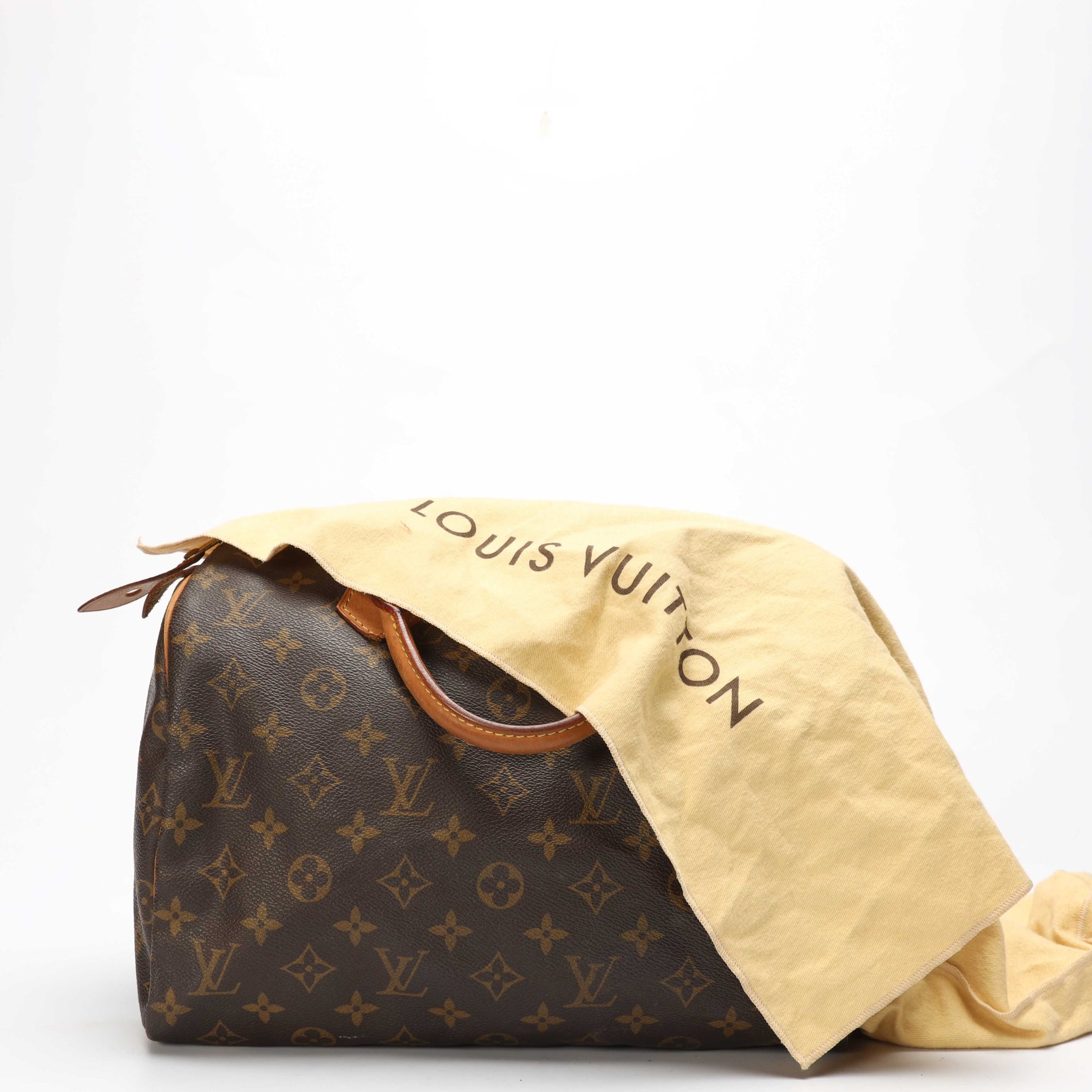 Louis Vuitton Monogram Canvas Speedy Bag
