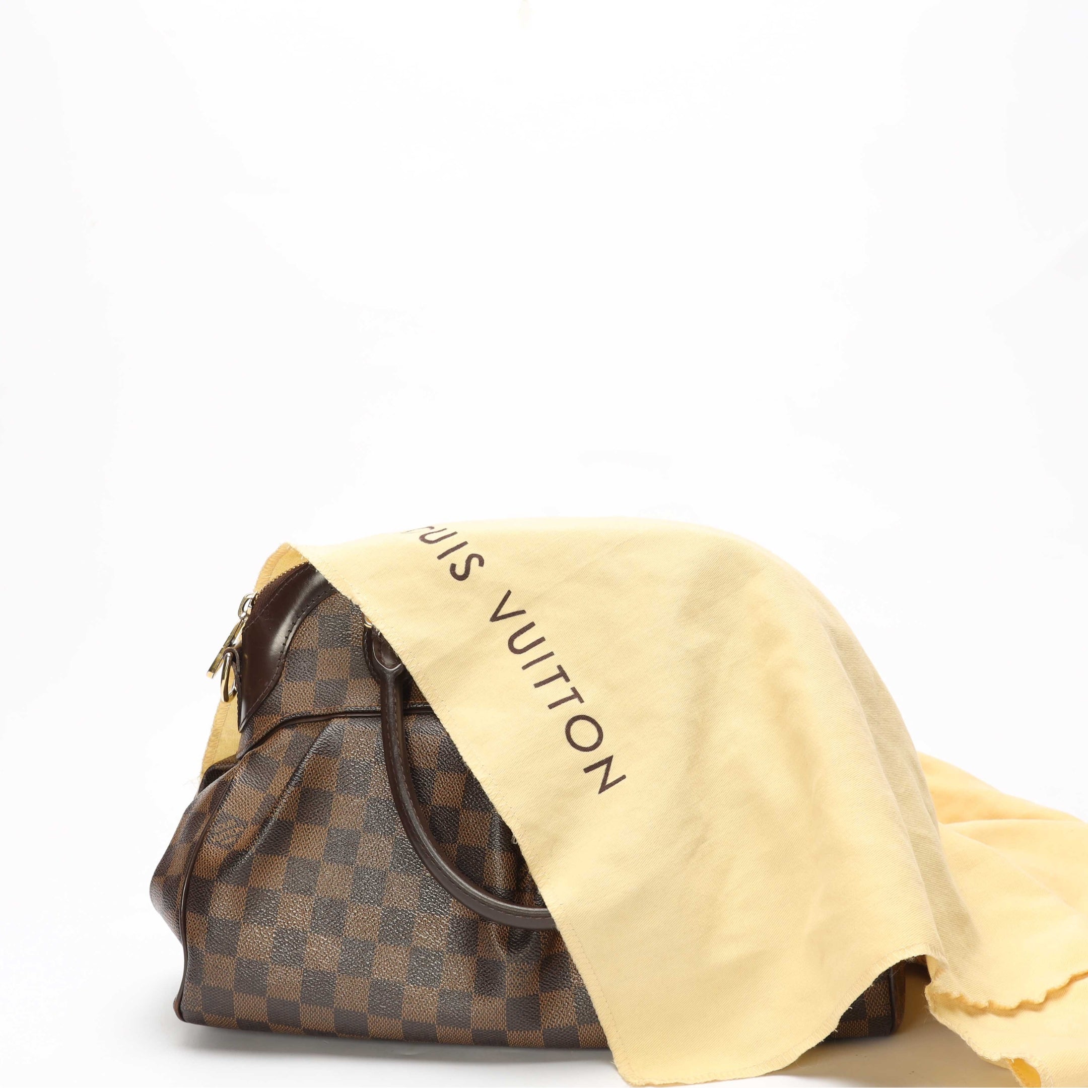 Louis Vuitton Damier Ebene Canvas Trevi Satchel