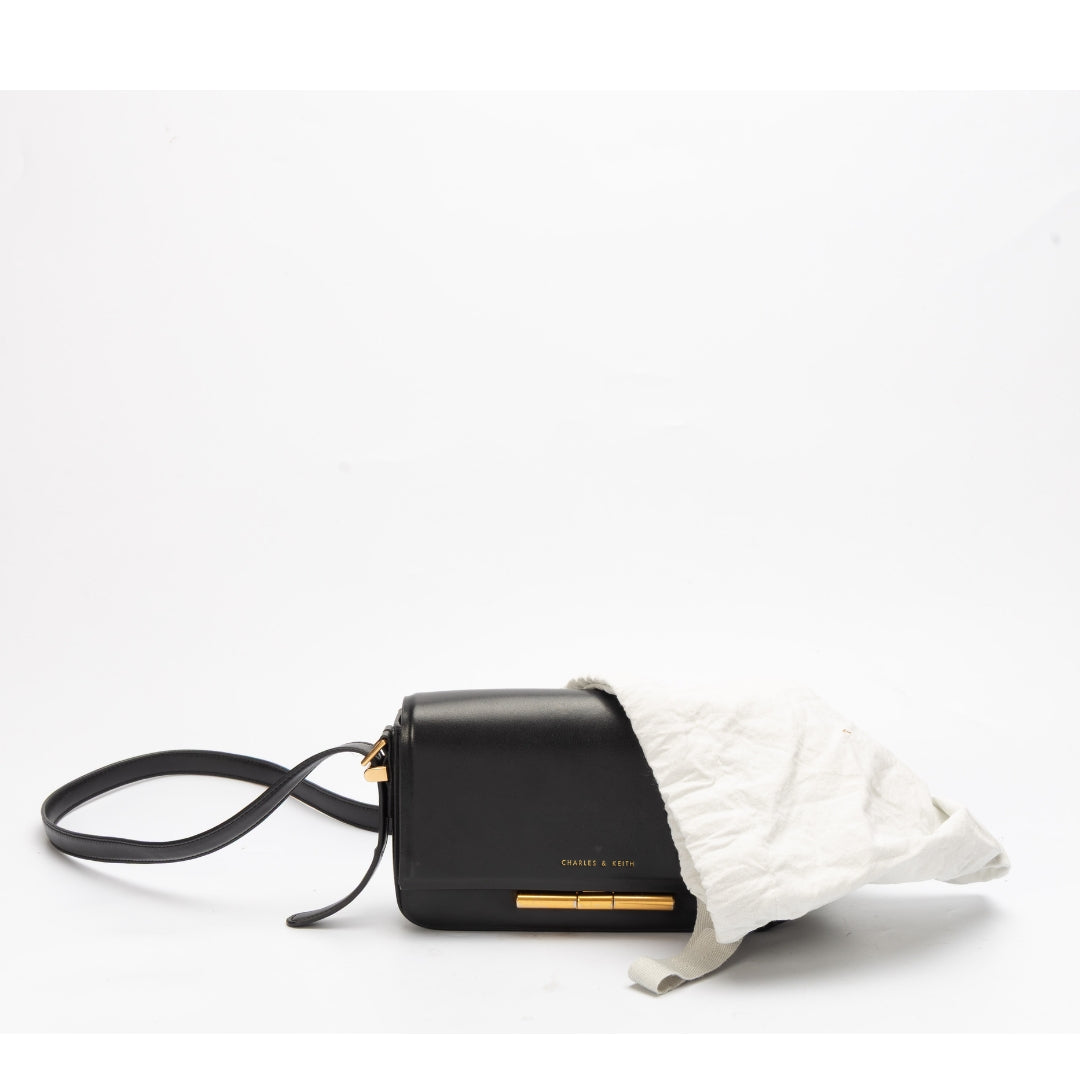 Charles & Keith Cesia Metallic Accent Sling Bag