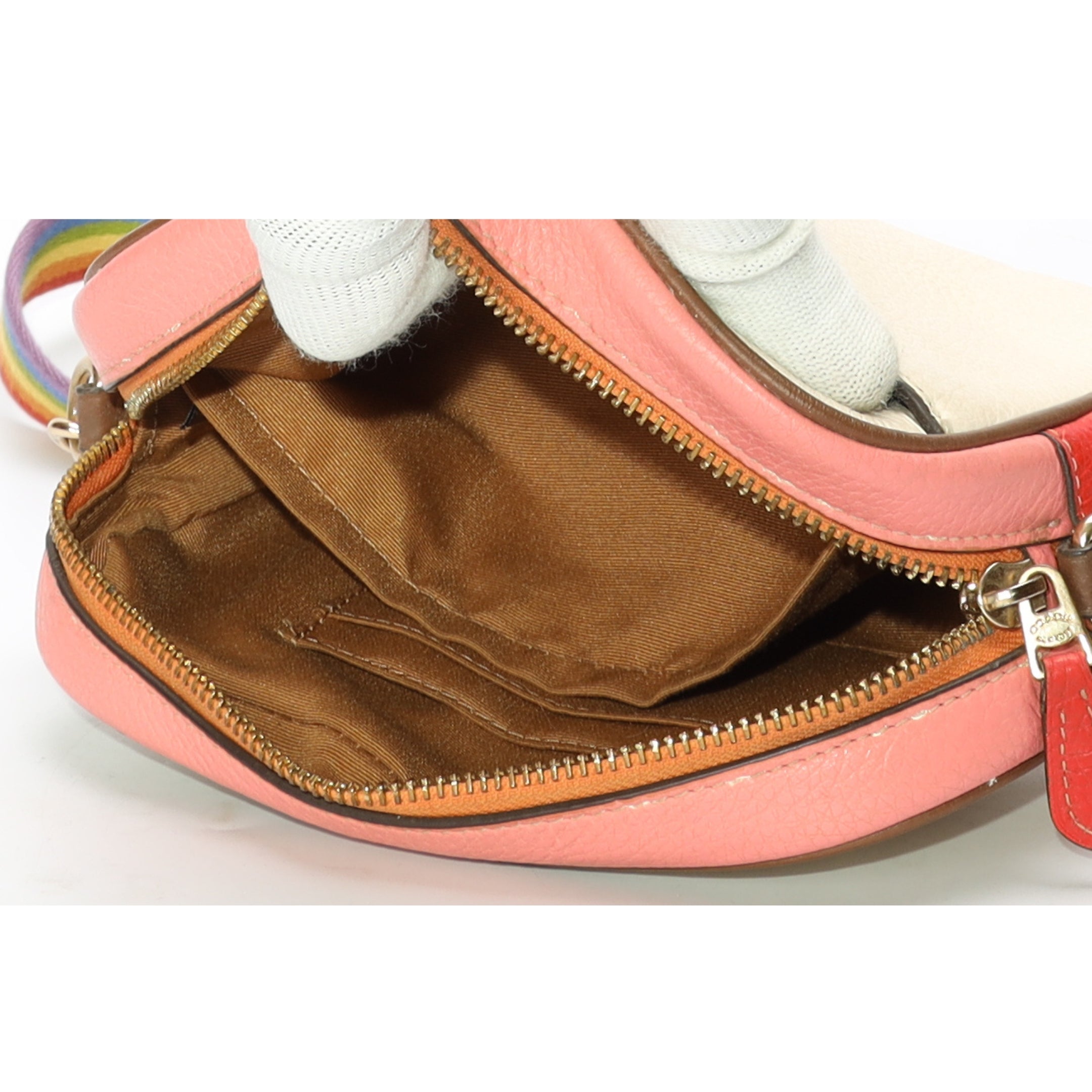 Coach Theo Rainbow Camera Bag