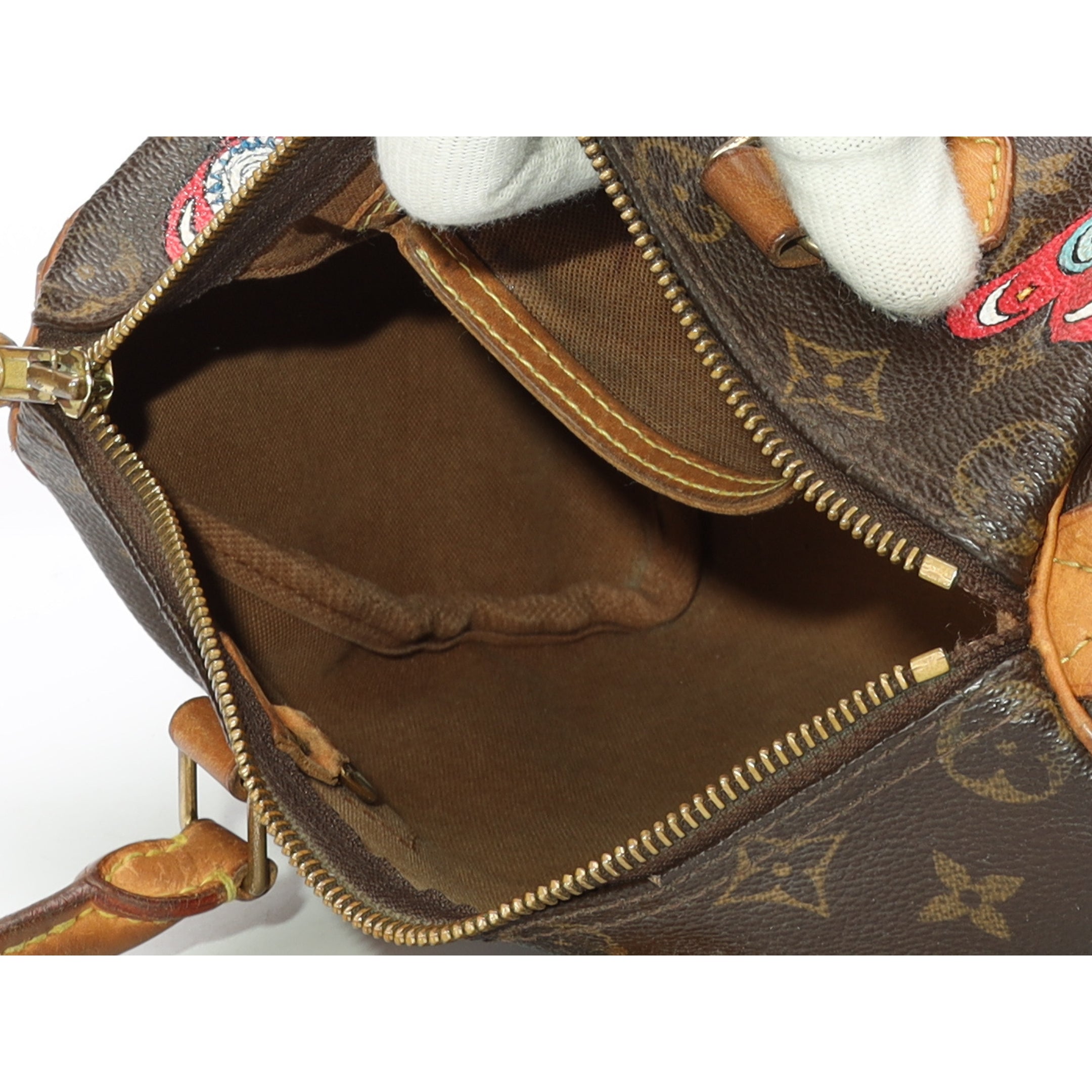 Louis Vuitton Speedy Monogram Satchel