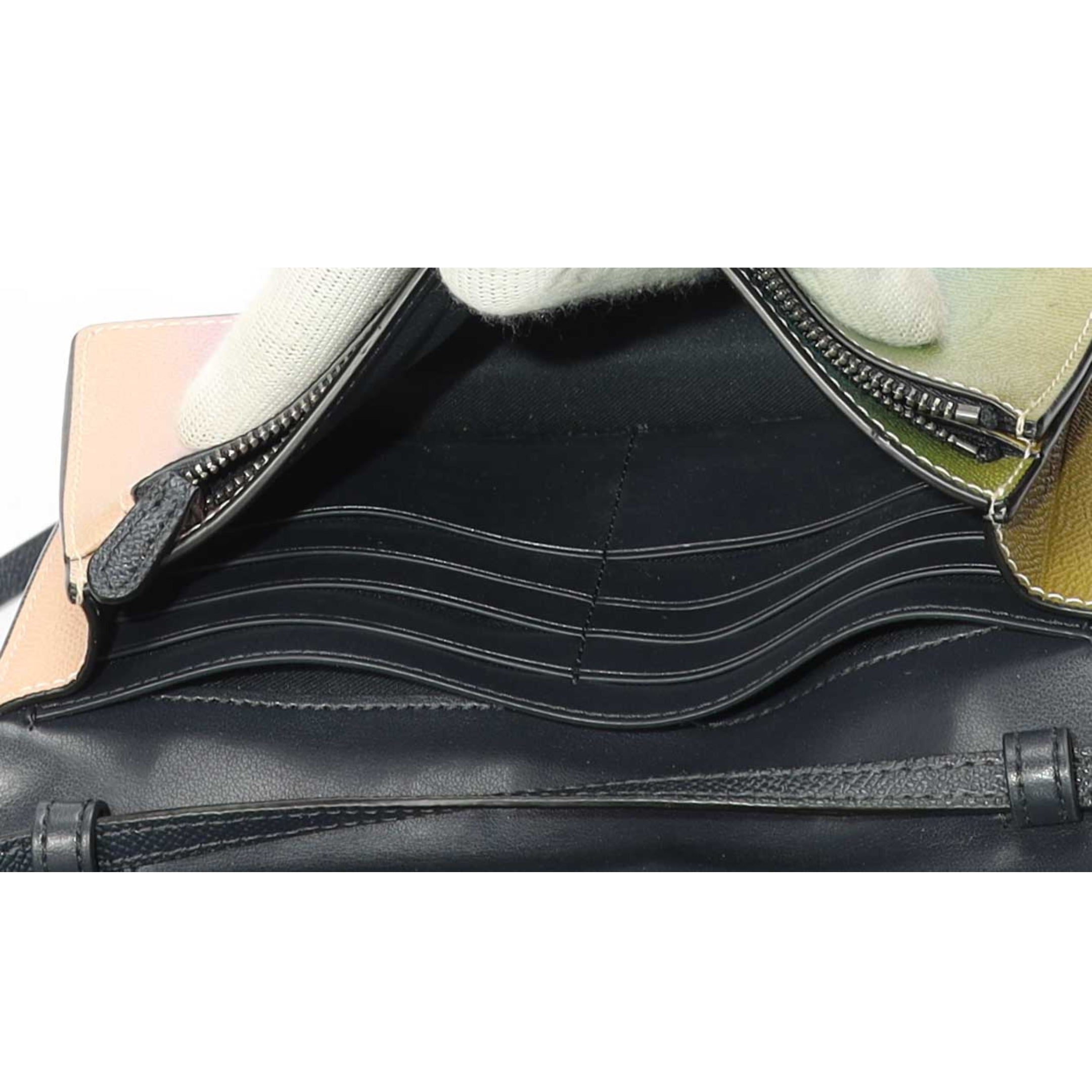 Coach Ombre Anna Crossbody Bag