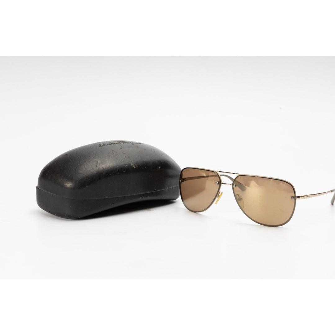 Salvatore Ferragamo Aviator Tinted Sunglasses