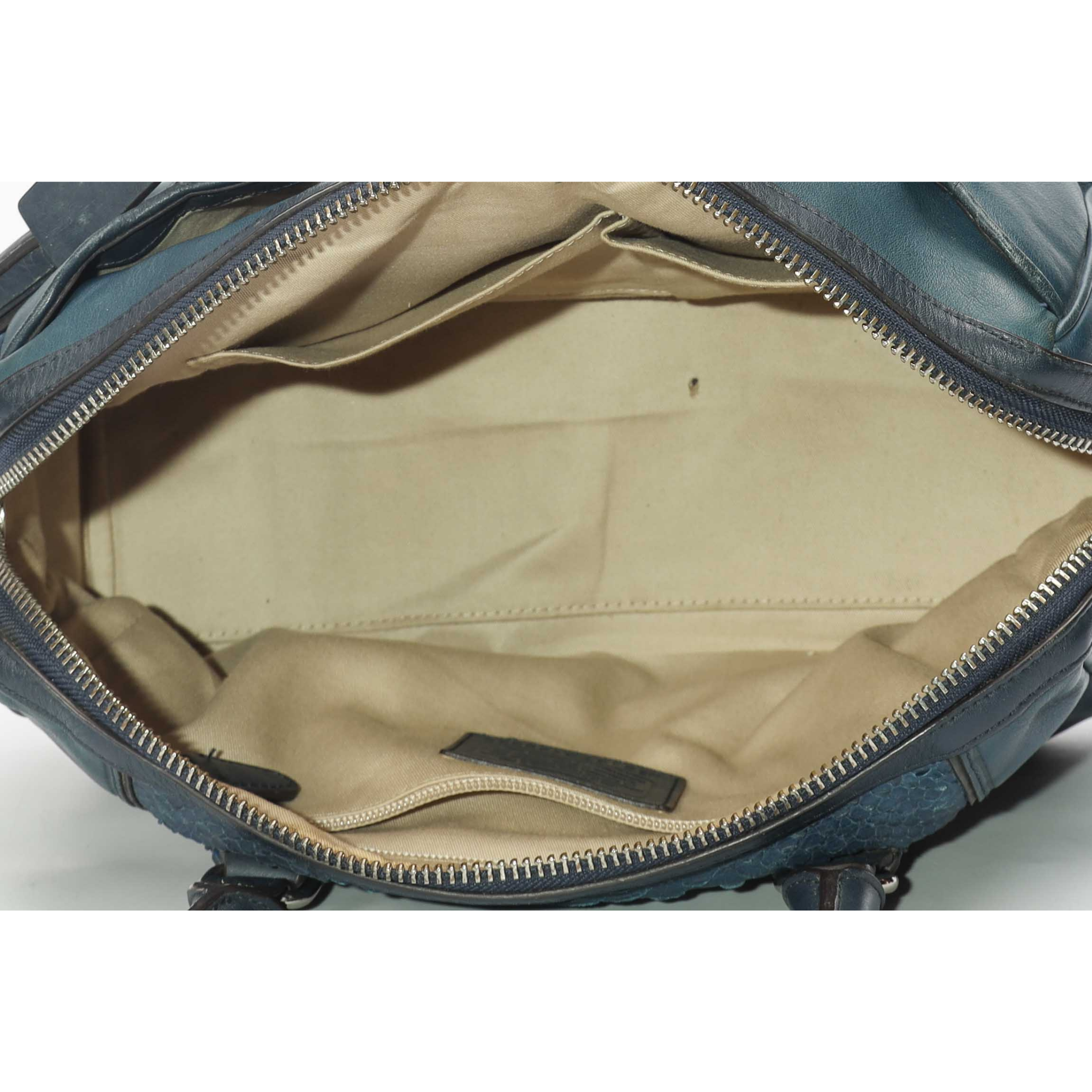 Coach Blue Python Haley Satchel