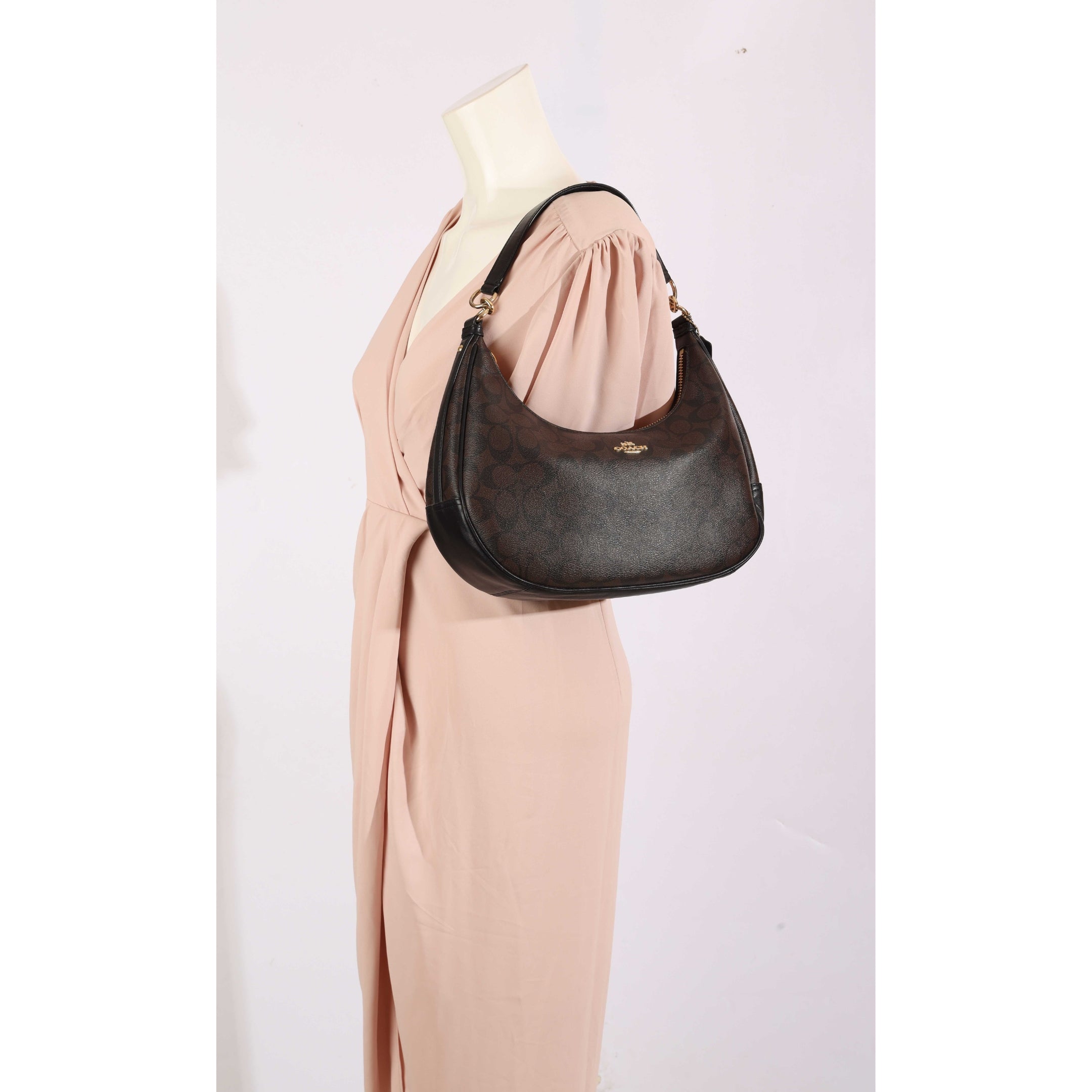 Coach Teri Brown Hobo Bag