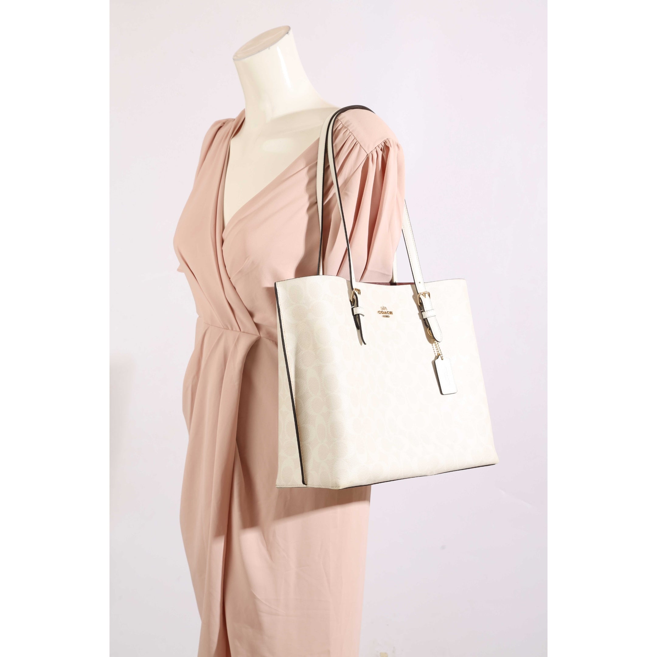 Coach Signature Canvas Mollie Tote