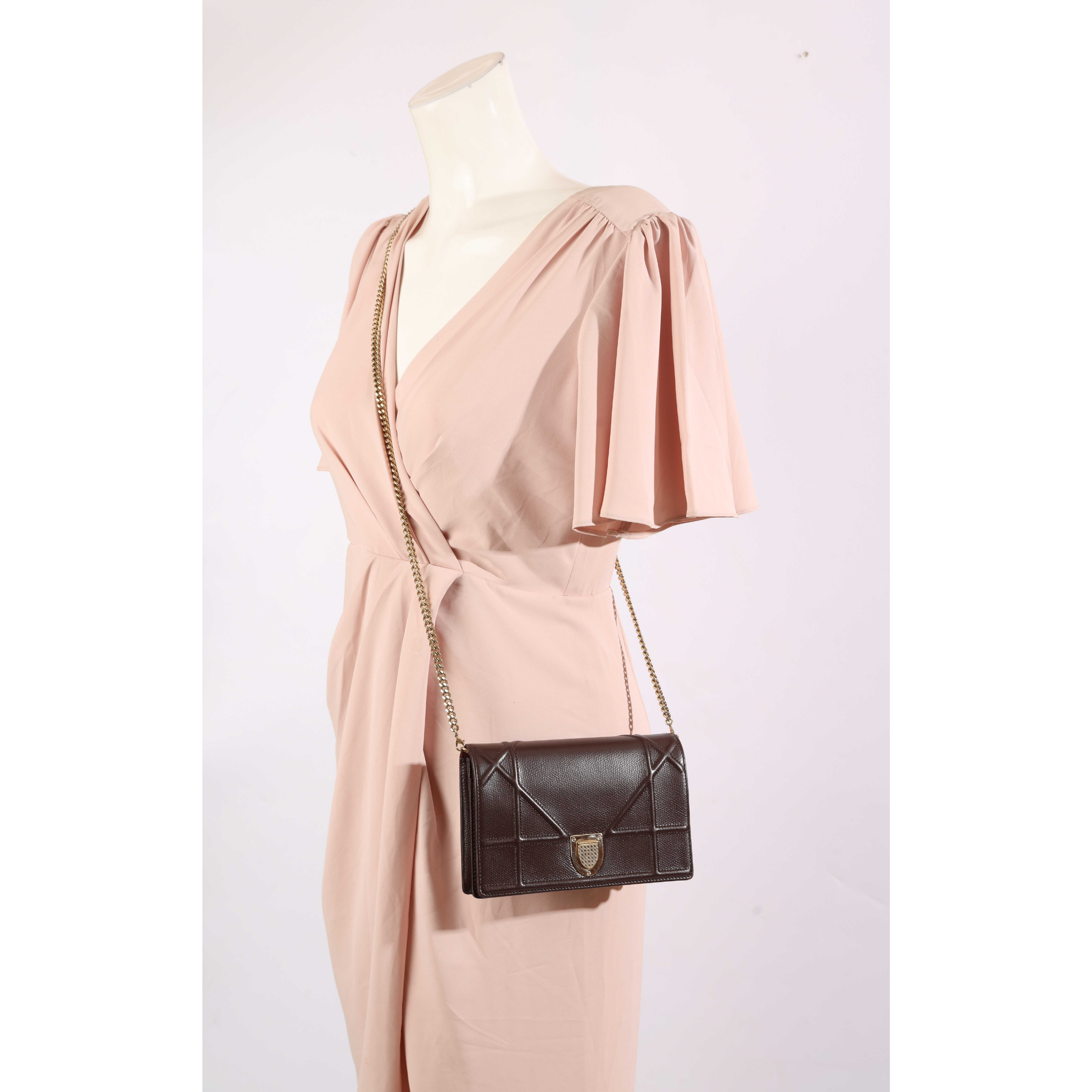 Dior Diorama Burgundy Crossbody Bag