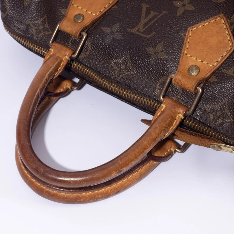 Louis Vuitton Monogram Speedy 25 Handbag