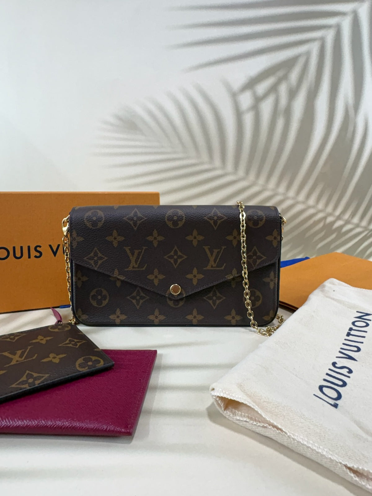 Louis Vuitton Felicie Pochette
